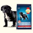 SmartHeart Power Pack Puppy For Discount