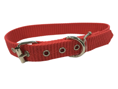 Vibrant Red Dog Collar for Medium Breeds on Sale