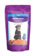 Canine Plus+ Adult Dog Original Liver Online Sale