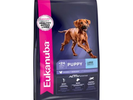 Eukanuba Large Breed Puppy Chicken 1kg For Cheap