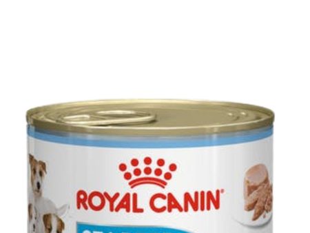 Royal Canin Starter Mousse 195g For Discount