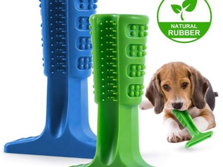 Toothbrush Chew Toy Online Sale