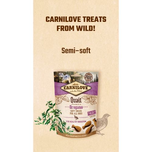 Carnilove Quail with Oregano Dog Treat 200g Online