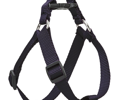 Comfortable Harness with Leash for Small Breeds For Discount