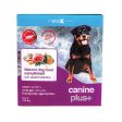 Canine Plus+ Adult Dog Original Liver Online Sale