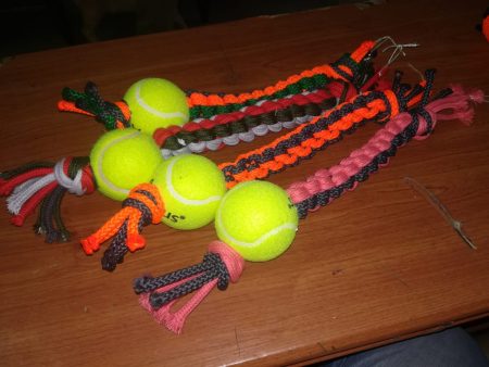 Rope with Tennis Ball Toy Online Hot Sale