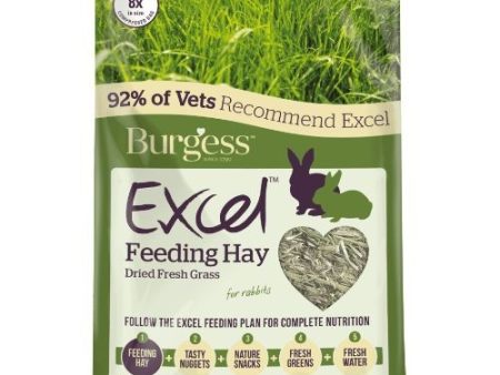 Burgess Excel Dried Forage Feeding Hay 1kg For Discount