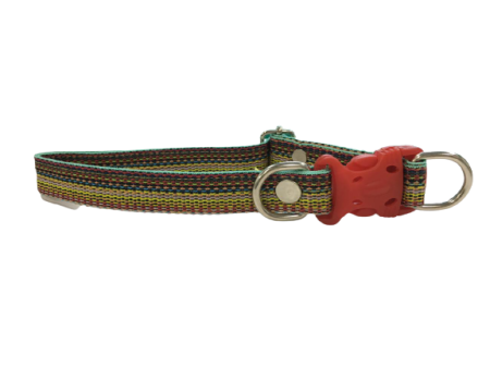 Colourful Threaded Dog Collar for Medium Breeds Hot on Sale