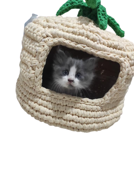 Crochet Cat Bed Supply