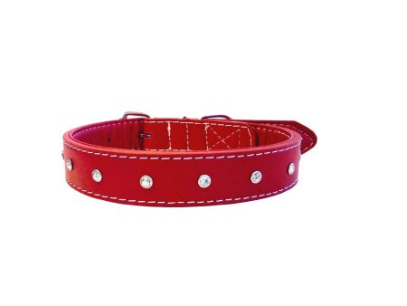 Fancy Studded Leather Collar with Bell For Sale