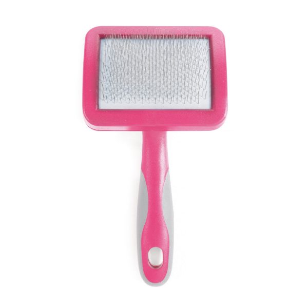 Ancol Ergo Hedgehog Slicker Cat Brush Online now