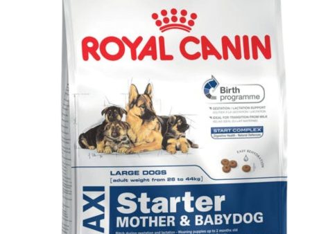 Royal Canin Maxi Starter Online Sale