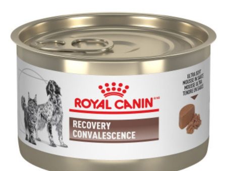 Royal Canin Recovery 195g For Sale