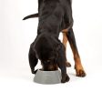 Scruffs Classic Long Eared Dog Bowl - 21cm Grey Sale