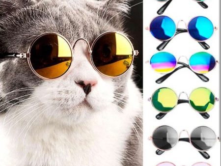 Cat Sunglasses Online Hot Sale