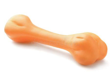 Bone Squeaky Toy Discount