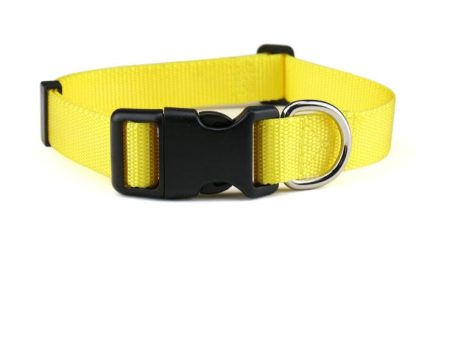 Delicate Dog Collar for Medium & Large Breeds For Cheap