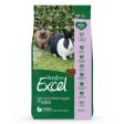 Burgess Excel Light Rabbit Nuggets with Mint 2kg Discount