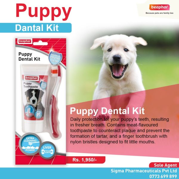 Beaphar Puppy Dental Kit (Paste & Brush) 50g For Discount