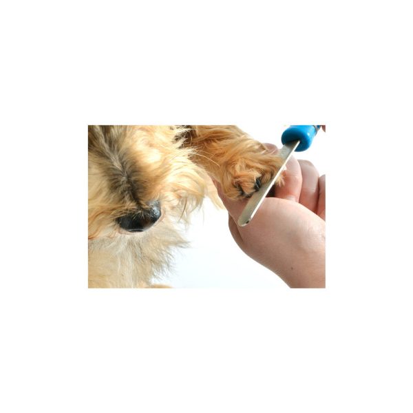 Ancol Ergo Grooming Nail File for Dogs and Cats on Sale