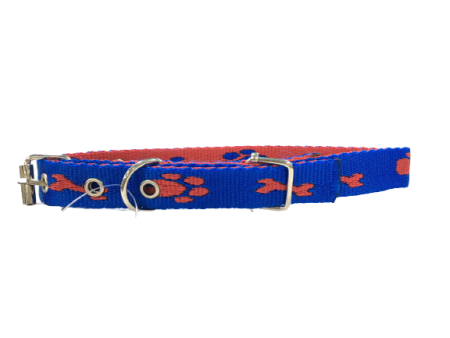 Colourful Nylon Dog Collar for Medium Breeds Supply