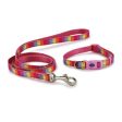 Ancol Small Bite Rainbow Collar Lead Set Pink Online now