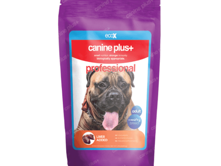 Canine Plus+ Professional [Liver] Online Hot Sale