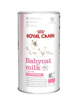 Royal Canin Babycat Milk 300g For Discount