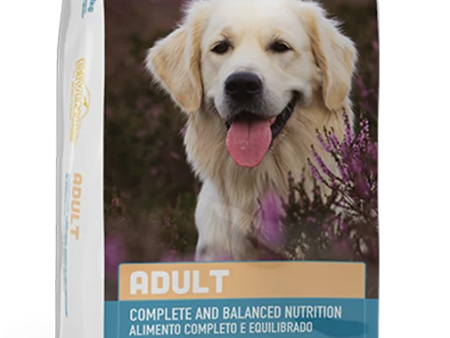 Divinus Adult Dog 20kg Hot on Sale