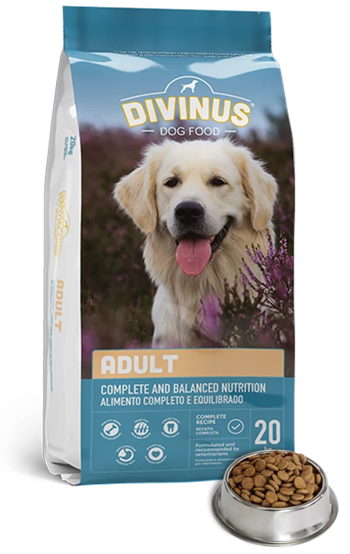 Divinus Adult Dog 20kg Hot on Sale