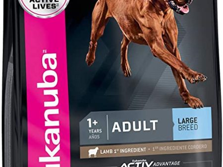 Eukanuba Large Breed Adult Lamb Hot on Sale