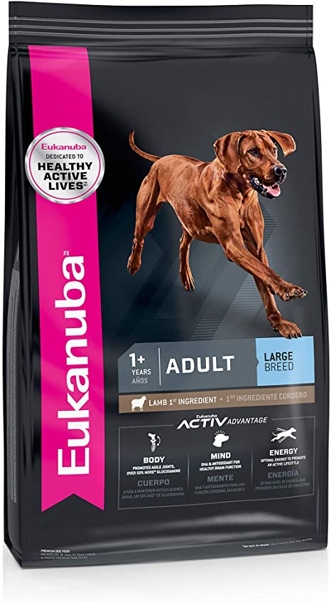 Eukanuba Large Breed Adult Lamb Hot on Sale